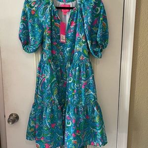 NWT Lilly swing dress size small